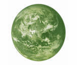 Green carpet, upholstery, tile & grout cleaning also available call us today 305-631-5757